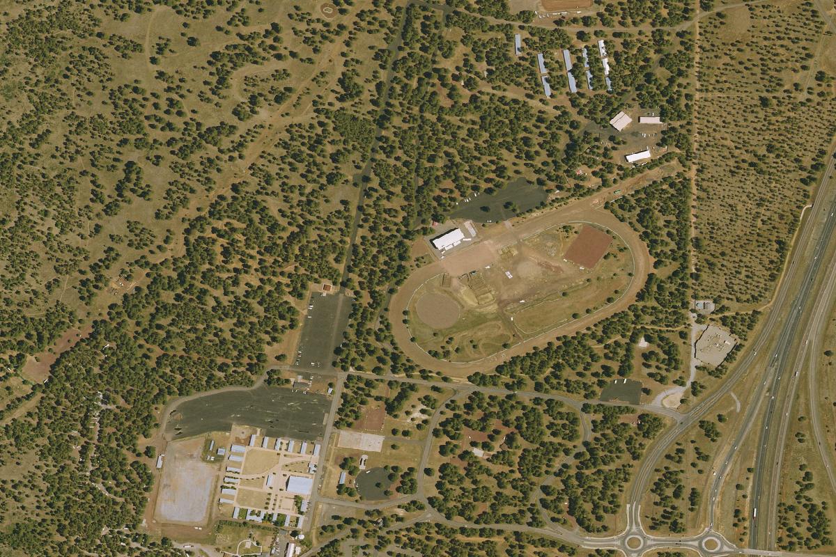 Disc golf in Flagstaff