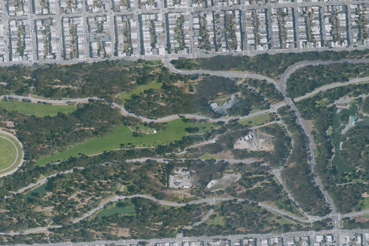 Disc golf in San Francisco