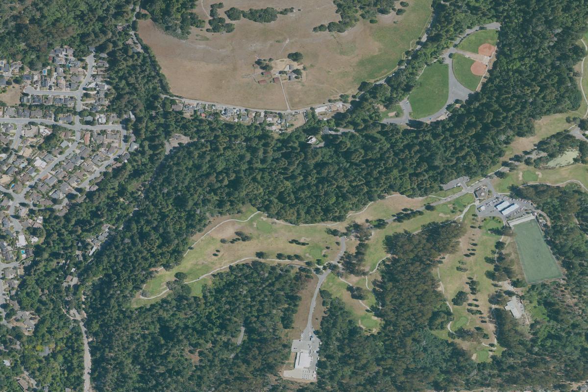 Disc golf in Santa Cruz