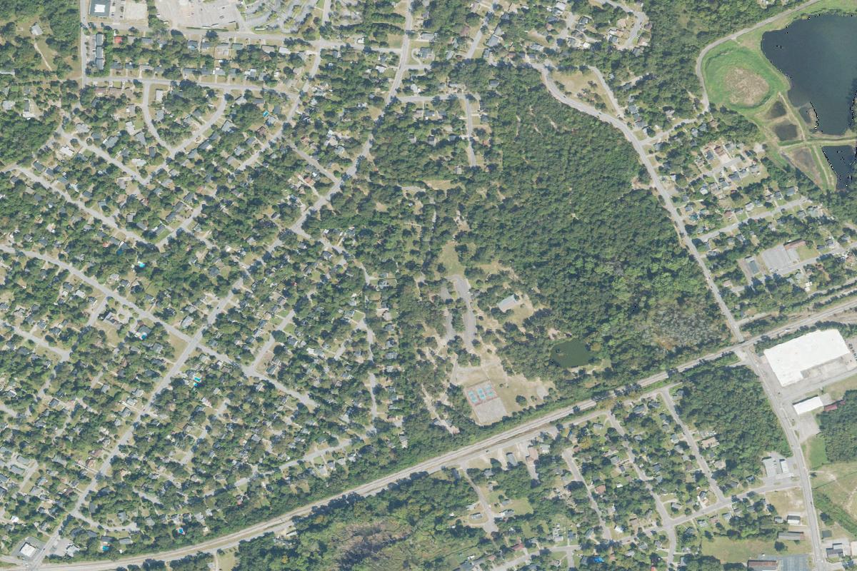 Disc golf in Augusta