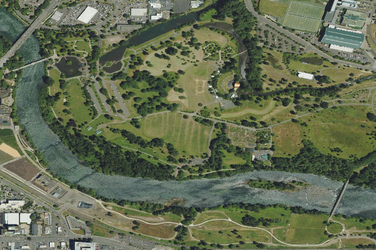 Disc golf in Eugene