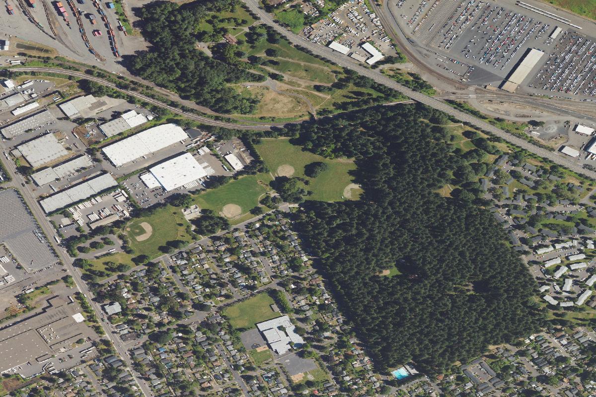 Disc golf in Portland
