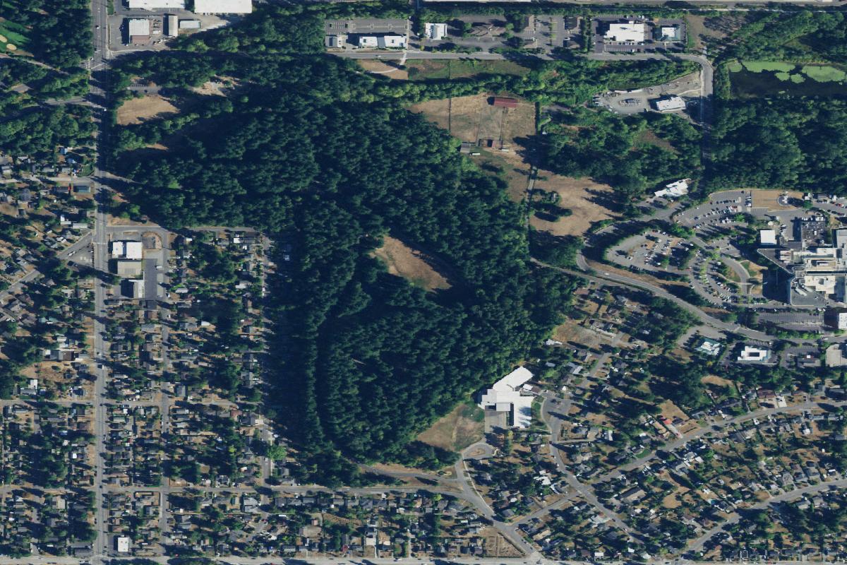 Disc golf in Bellingham