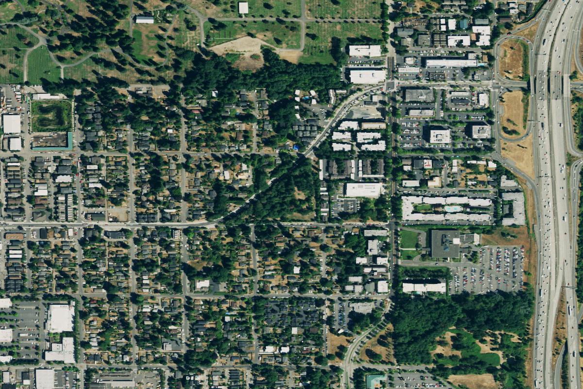 Disc golf in Seattle